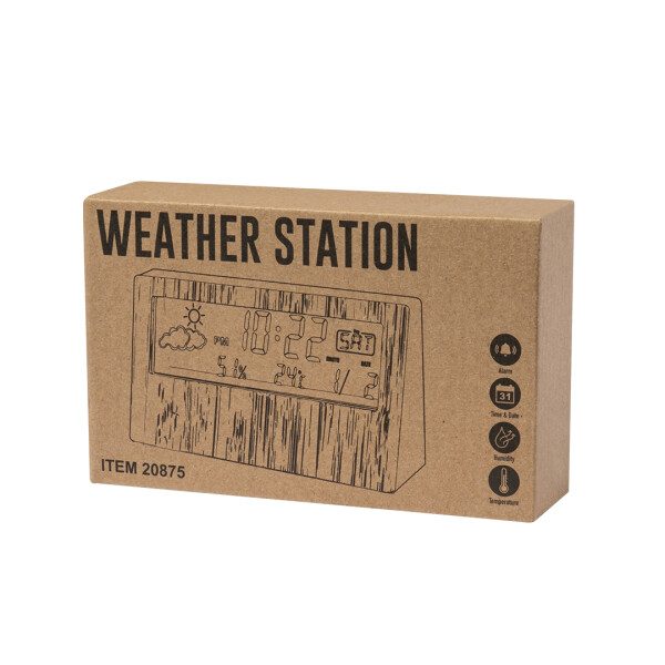 Wetterstation Roamer