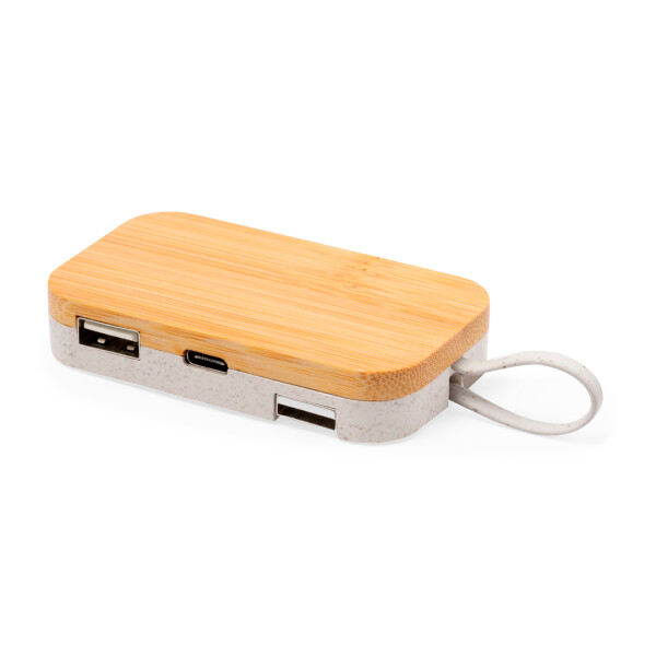 Halter USB Hub Flow