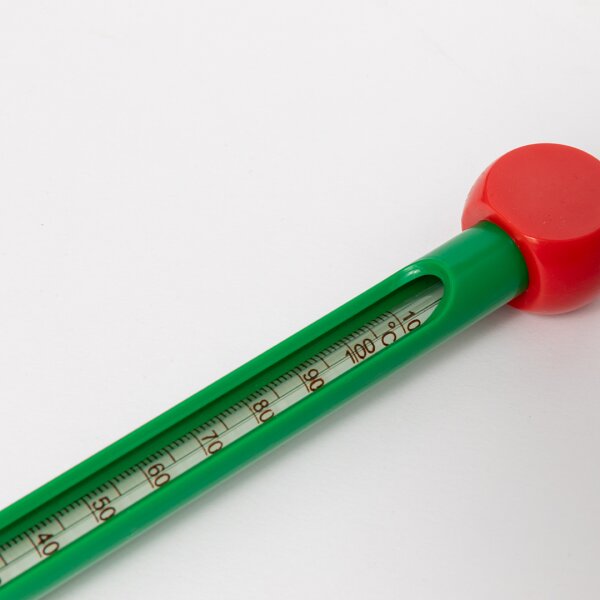 Bodenthermometer Cynex