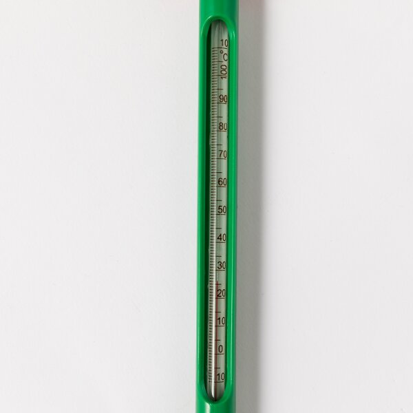 Bodenthermometer Cynex