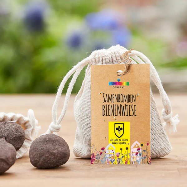 Seed-Bombs Bienenwiese