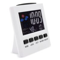 Wetterstation "Maxi"