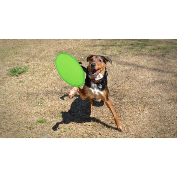 Frisbie Watson