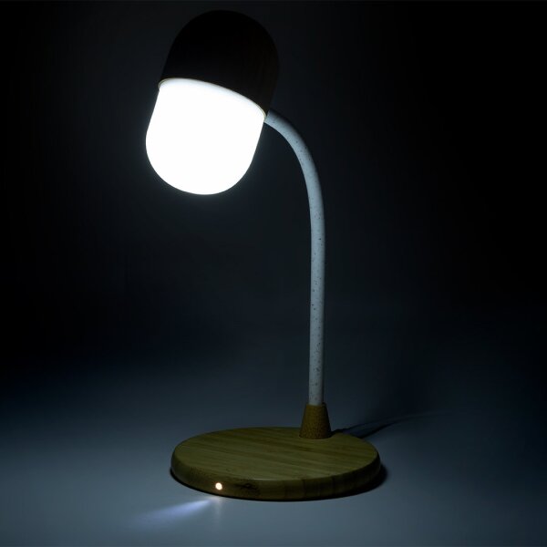 Multifunktion Lampe Lars