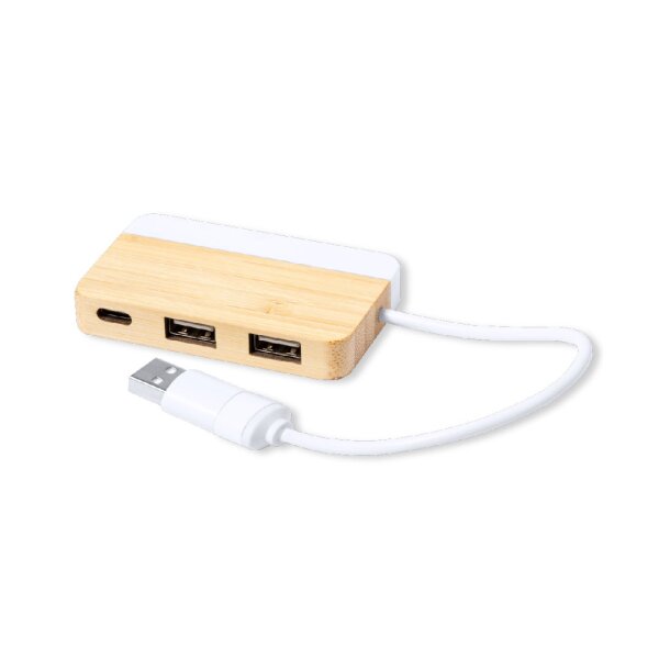 USB Hub Layais