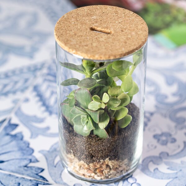 Terrarium Anymak