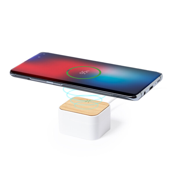 Ohrhörer mit Wireless Charger "Aslan"