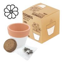 Pflanztopf mit Samen "Terracotta"